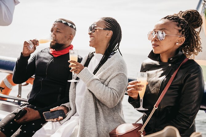 Catamaran Cruise and Sushi Experience in Cape Town - Wildlife adds a welcome surprise