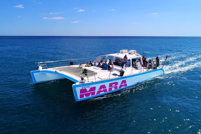 Catamaran Cruise: Caves and Coastline to Benagil - Champagne, bar prices, and onboard atmosphere