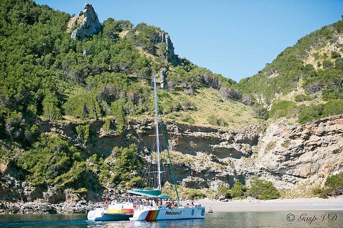 Catamaran Cruise from Port d'Alcudia with Lunch and Swim Stop - Who should book this cruise?
