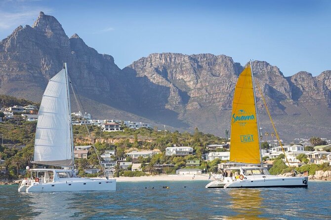 Catamaran Cruise in Cape Town - Key points at a glance