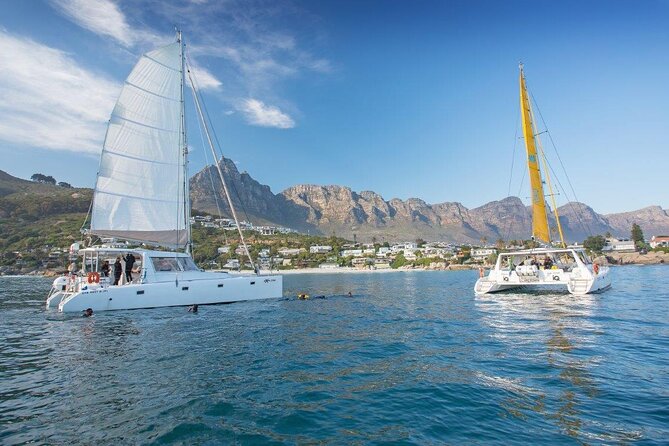 Catamaran Cruise in Cape Town - Why Cape Town looks different from the water