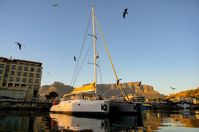Catamaran Cruise in Cape Town - The first minutes on board