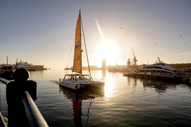 Catamaran Cruise in Cape Town - What the $23.92 price delivers