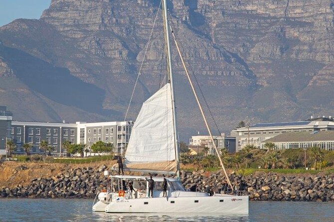 Catamaran Cruise in Cape Town - Who will enjoy this most
