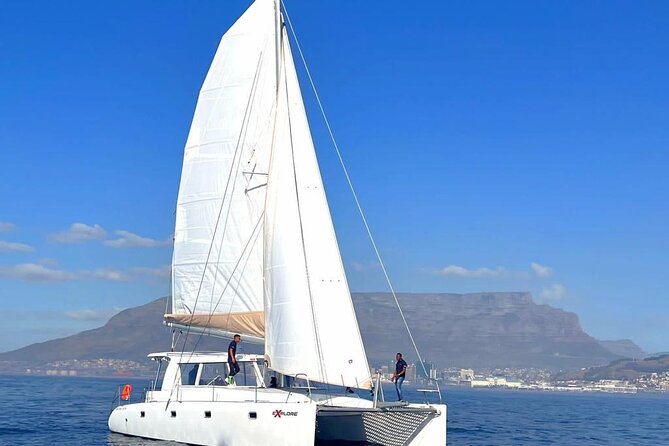 Catamaran Cruise in Cape Town - Starting at the V&A Waterfront