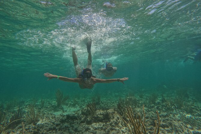 Catamaran Cruise in Riviera Maya With Snorkeling & Beach Club - Price, timing, and overall value