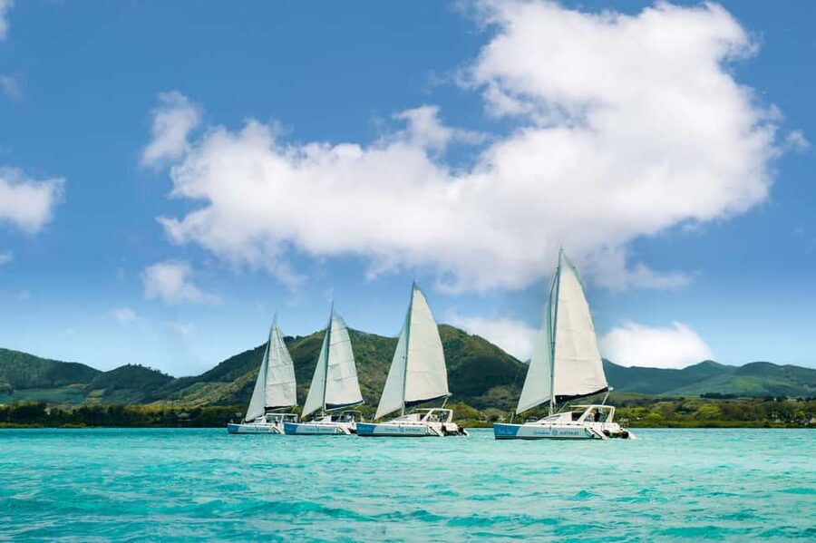 Catamaran Cruise to île aux Cerfs w Dolphins watch & Lunch - Key Points at a Glance