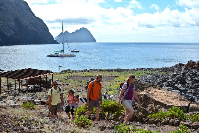 Catamaran Day Cruise to Desertas Islands from Funchal - Key points to know before you sail