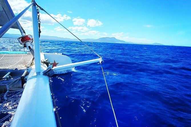 Catamaran Day Trip, Snorkeling & Sailing Excursion - Is $84 a fair price?