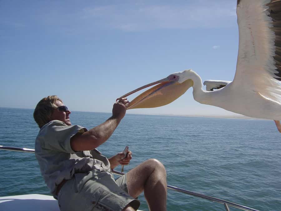 Catamaran Dolphin Cruise and Sandwich Harbour Tour - Starting in Swakopmund and heading for Walvis Bay