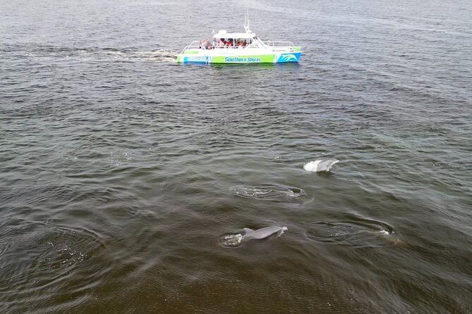 Catamaran Dolphin Cruise in Myrtle Beach with Barrier Island Stop - Local sights fill the ride between islands and ocean