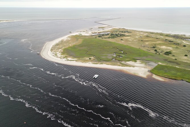 Catamaran Dolphin Cruise in Myrtle Beach with Barrier Island Stop - Price, group size, and the practical value