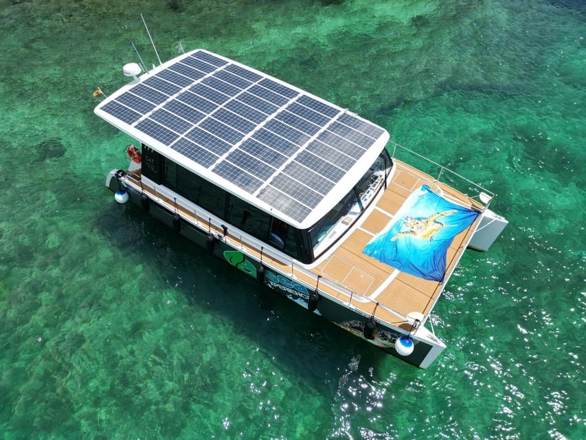 CATAMARAN ECO EXPERIENCE at Palma Bay - Key points to know before booking