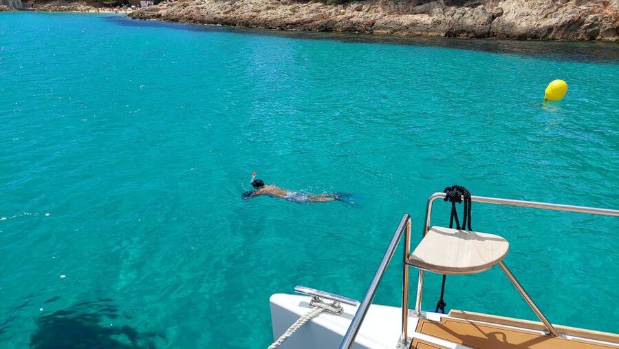 CATAMARAN ECO EXPERIENCE at Palma Bay - Guides who make a private trip work