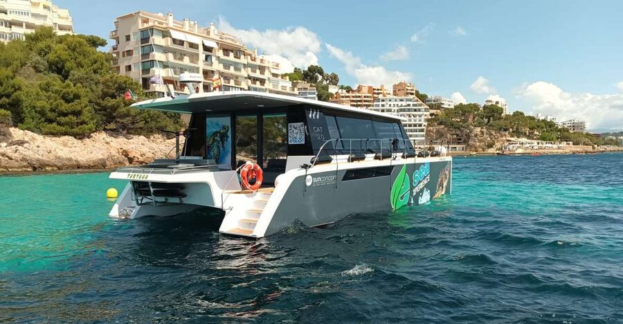 CATAMARAN ECO EXPERIENCE at Palma Bay - Is $1,825 good value for your group?