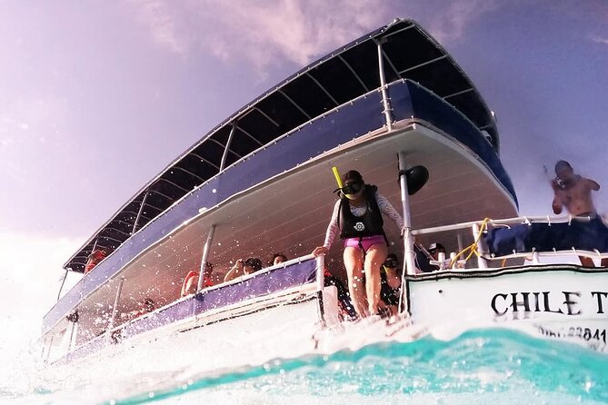 Catamaran Excursion + Open bar + Snorkeling at El Cielo - El Cielo and its famous starfish