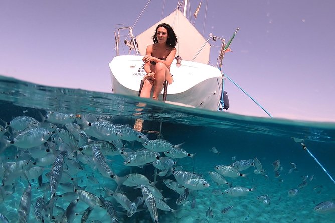 Catamaran excursions in the Asinara island National park - What the $120.98 price includes