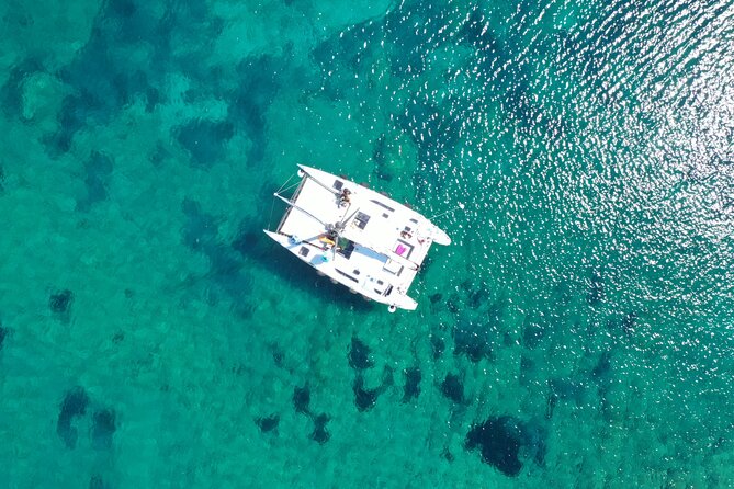Catamaran excursions in the Asinara island National park - Swimming and guided snorkeling in clear water