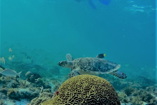 Catamaran Group Sightseeing, Snorkeling Tour Isla Mujeres - Playa Norte, the planned finale