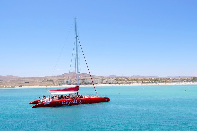 Catamaran Half-Day Cruise from Caleta de Fuste - The return journey and onboard atmosphere