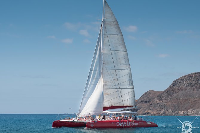 Catamaran Half-Day Cruise from Caleta de Fuste - Who will enjoy this cruise most