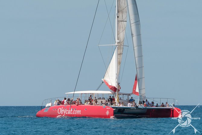 Catamaran Half-Day Cruise from Caleta de Fuste - Sailing toward Pozo Negro bay