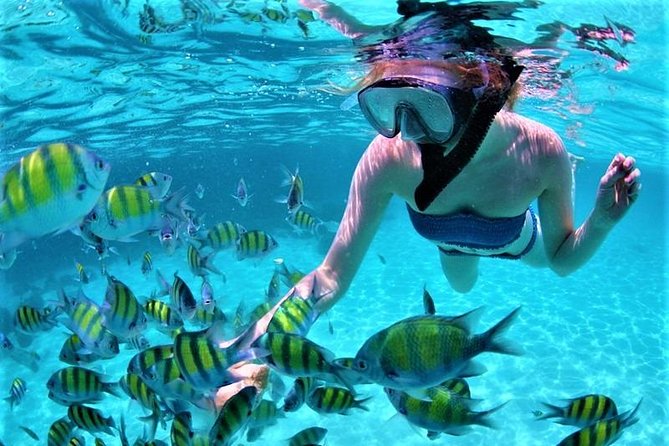 Catamaran Ile aux Cerfs, snorkeling + GRSE Waterfall, BBQ & Bar - Crew, atmosphere, and the question of crowd size