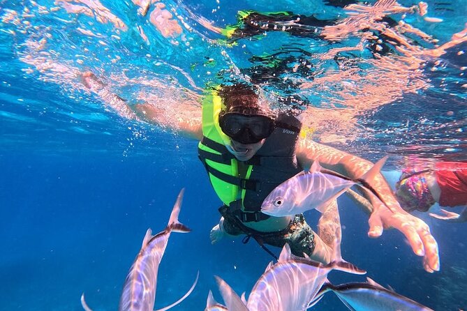 Catamaran in Cozumel with snorkeling at El Cielo and open Bar - Boarding at 1:00 PM in central Cozumel