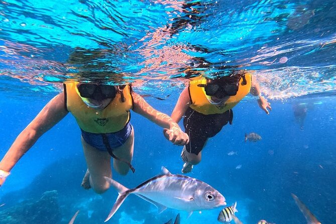 Catamaran in Cozumel with snorkeling at El Cielo and open Bar - El Cielito: shallow water and manta rays