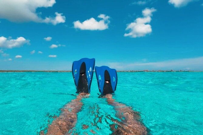 Catamaran in Cozumel with snorkeling at El Cielo and open Bar - The biggest risk: last-minute cancellation