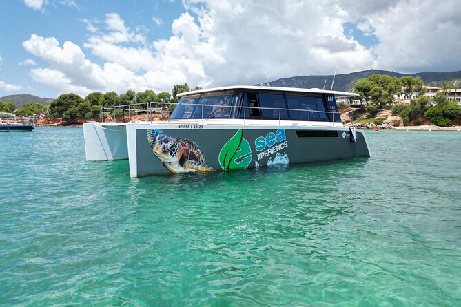 Catamaran Mallorca Eco Experience - The Tortuga catamaran: quiet, clean, and built for water time
