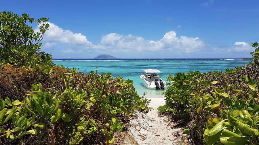Catamaran Mauritius Cruise in the North Coasts - Key points to know before booking