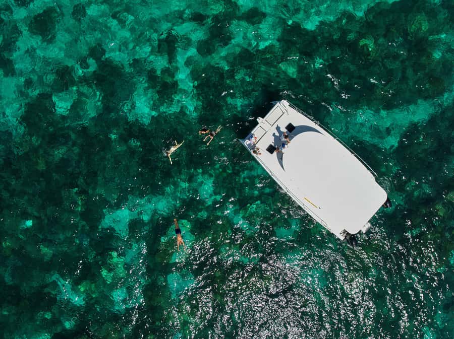 Catamaran Mauritius: South East 5 Islands Catamaran Cruises - Who Will Enjoy This Day Most