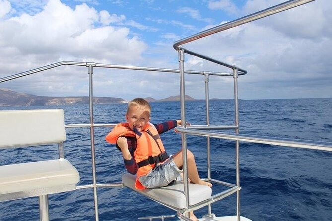 CATAMARAN OCEAN CRUISE TOUR, Food & Drinks included! - Watching pilot whales and dolphins near La Gomera