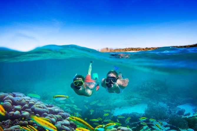 Catamaran Party Cruise and Snorkeling from Montego Bay - Who will get the most from this outing