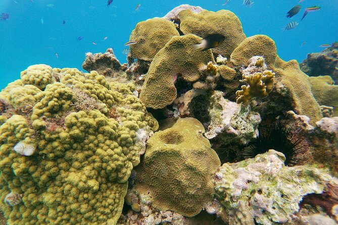 Catamaran Party Cruise with Snorkeling & BBQ - Group size and the feel onboard