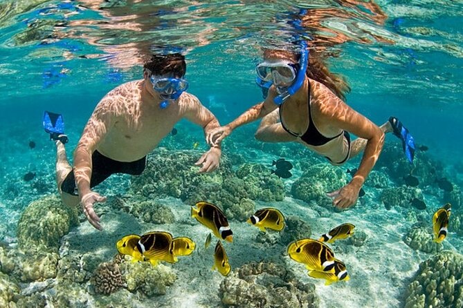 Catamaran Party in Punta Cana Includes Drink and Transportation - Punta de los Nidos: three hours of swimming and splash time