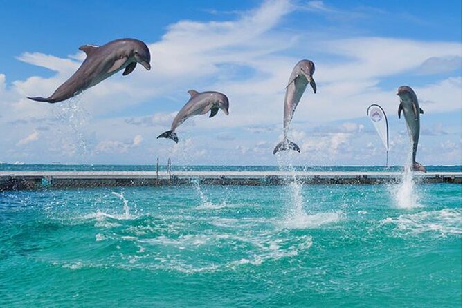 Catamaran Party in Punta Cana with Unlimited Drinks - The natural pool stop