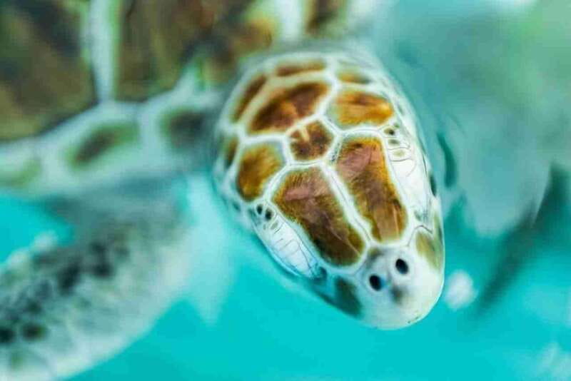 Catamaran party Isla Mujeres with drinks & lunch - Who should book this catamaran trip?
