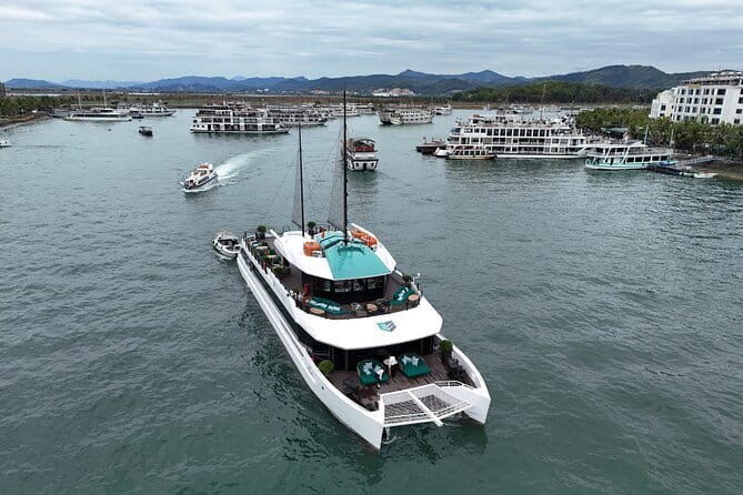 Catamaran Premium Cruise to Halong Bay & Lan Ha Bay in 1 Day Tour - What makes this cruise worth considering