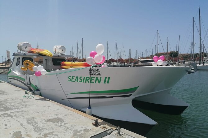 Catamaran Private Tour - Benagil & Marinha Beach - (28 PAX) - Key points at a glance