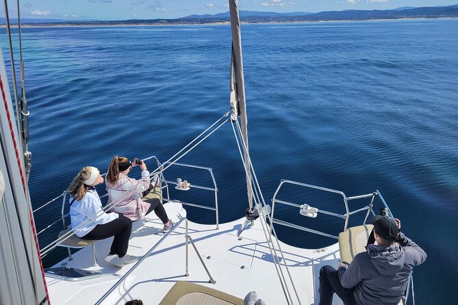 Catamaran Sailing Cruise in Monterey - Sailing out from Old Fisherman’s Wharf
