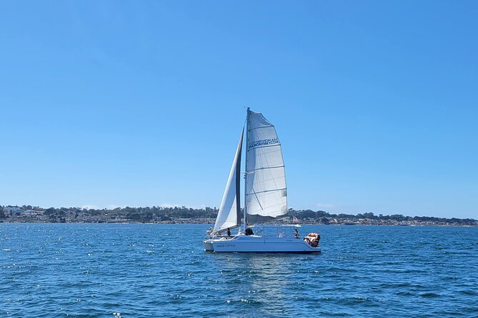 Catamaran Sailing Cruise in Monterey - Seating, boat rules, and the front-of-boat question