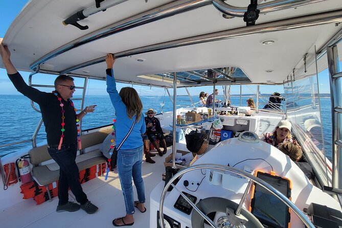 Catamaran Sailing Cruise in Monterey - Drinks and the no-frills approach