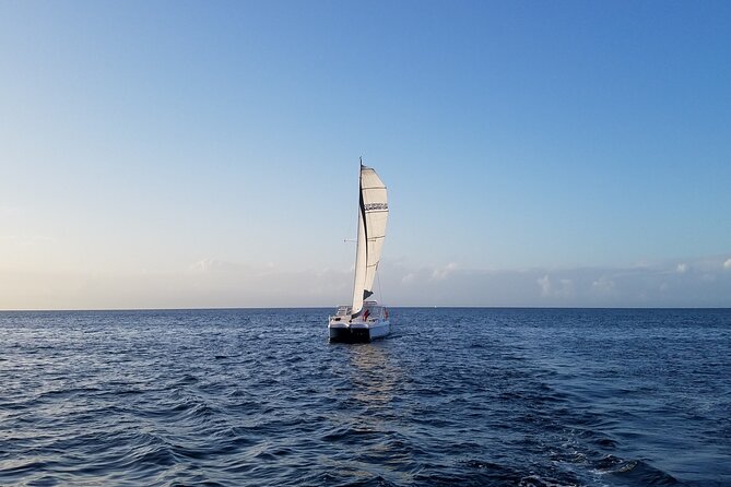 Catamaran Sailing Cruise in Monterey - Is $65 a fair price?