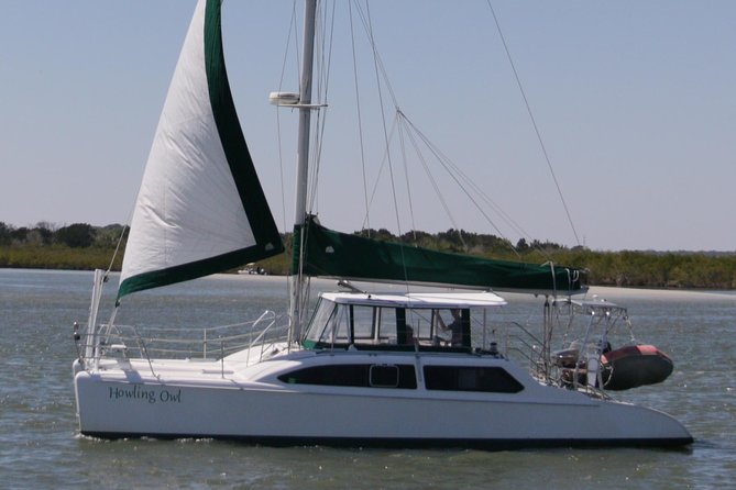 Catamaran Sailing Dolphin/Manatee Watch in Daytona Beach - Key points to know before you go