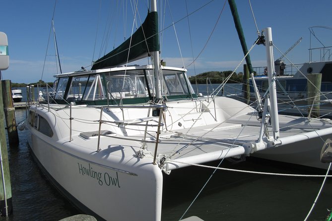Catamaran Sailing Dolphin/Manatee Watch in Daytona Beach - A small catamaran on the Halifax River