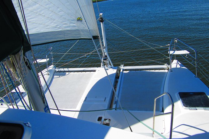 Catamaran Sailing Dolphin/Manatee Watch in Daytona Beach - Manatees, pelicans, and the limits of wildlife