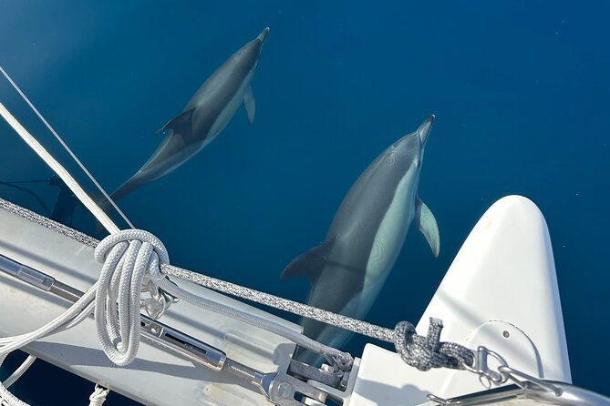 Catamaran Sailing Experience Manilva Tapas Drink Dolphins Swim Stop - Five things to know before you book