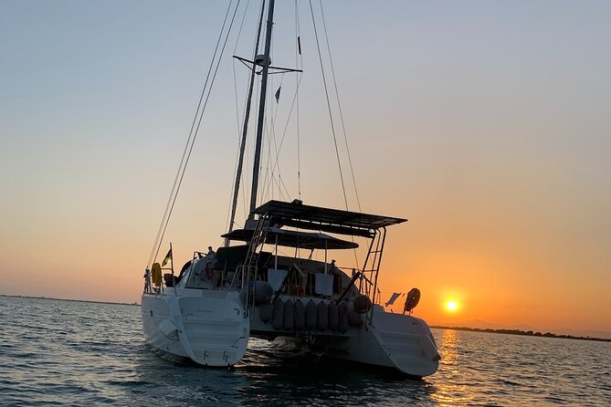 Catamaran Sailing Experience Manilva Tapas Drink Dolphins Swim Stop - Looking for dolphins without making promises
